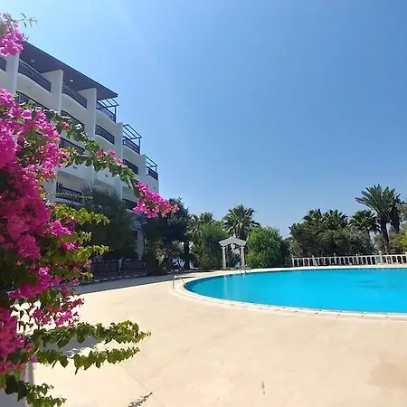 酒店 Kerasus Çeşme